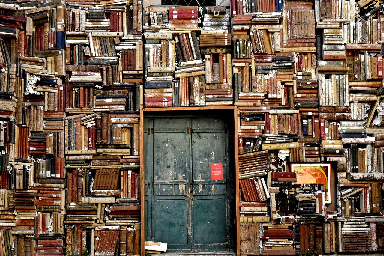 books, mac wallpaper, free wallpaper, free background, shelves, wallpaper hd, hd wallpaper, door, laptop wallpaper, full hd wallpaper, cool backgrounds, windows wallpaper, wallpaper 4k, entrance, 4k wallpaper, library, 4k wallpaper 1920x1080, desktop backgrounds, knowledge, wisdom, civic museum library, international gallery of modern art, beautiful wallpaper, pesaro, italy, background