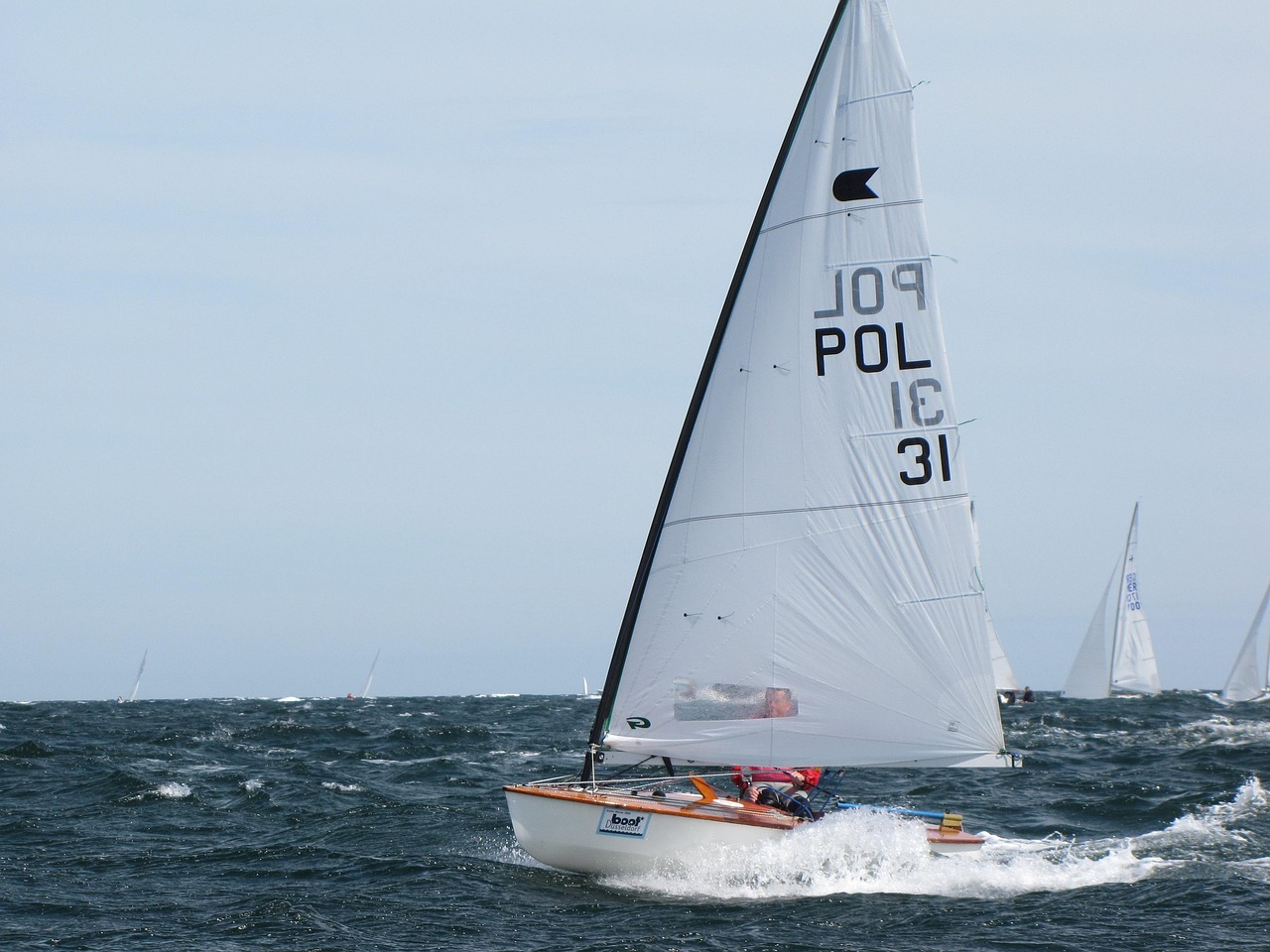 sail, dinghy, ok-dinghy, regatta, kiel week, kiel, dinghy, dinghy, dinghy, dinghy, dinghy, regatta, kiel