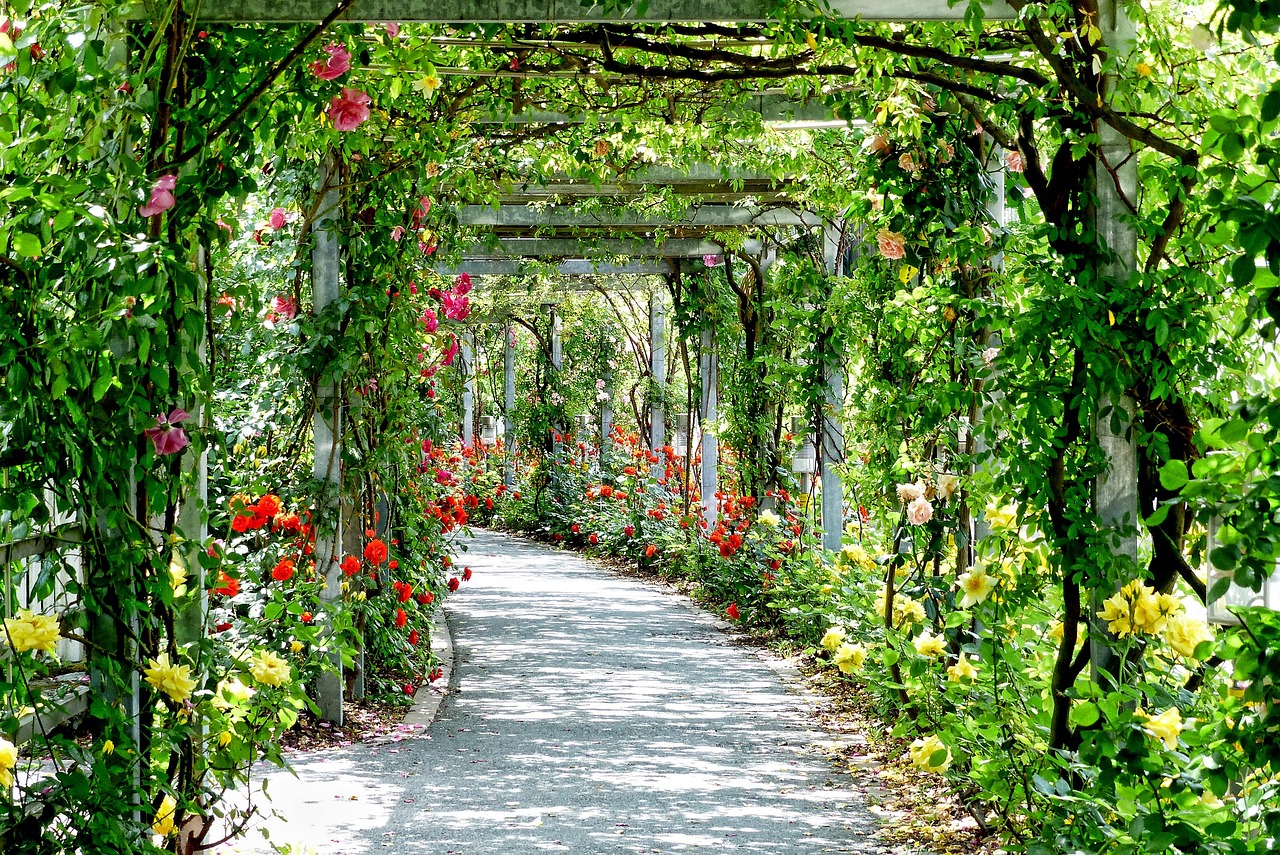 Wooden Pergola Plans: Effortless DIY Guide